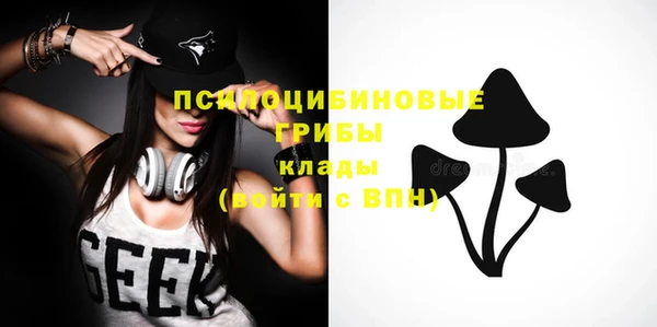 прущая мука Кинешма