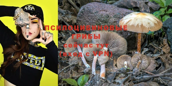 прущая мука Кинешма