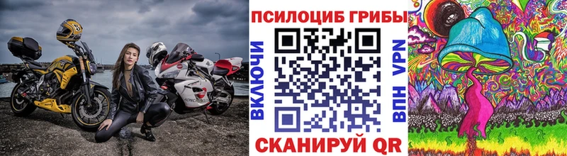 Купить  Вельск  Галлюциногенные грибы MAGIC MUSHROOMS 