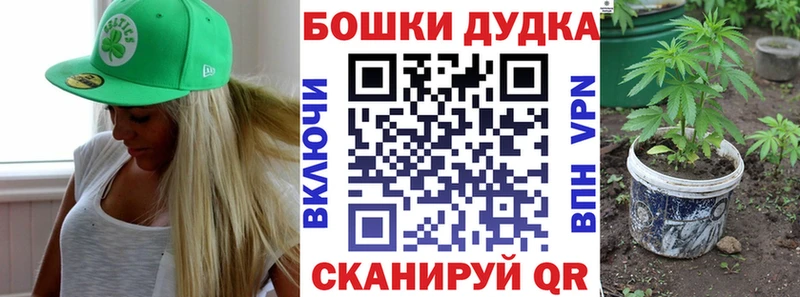 Бошки Шишки Amnesia  Купить закладки  Вельск 